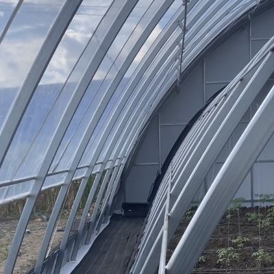 Amerikaanse munt Twee- of eenlaagse groente zonnestralen kassystemen binnen het budget