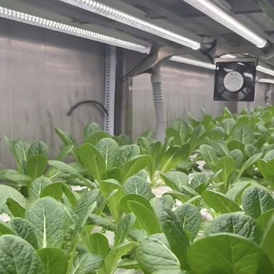 US 10000 per stuk dakplaat voor groenbladeren in kascontainers 1 stuk Min.Order