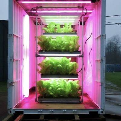 18000.000kg Groenhuis voor bladgroenten Pakket Bruto Gewicht en makkelijke restitutie