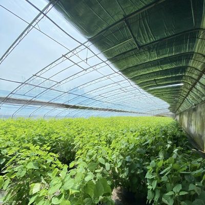 Bloemen planten druppelbewateringssysteem zonlicht kas met op maat gemaakte verzoek