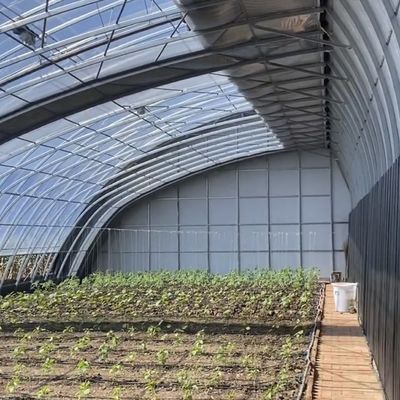 Bloemen planten druppelbewateringssysteem zonlicht kas met op maat gemaakte verzoek