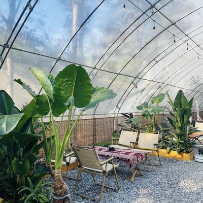 Bloemen planten druppelbewateringssysteem zonlicht kas met op maat gemaakte verzoek