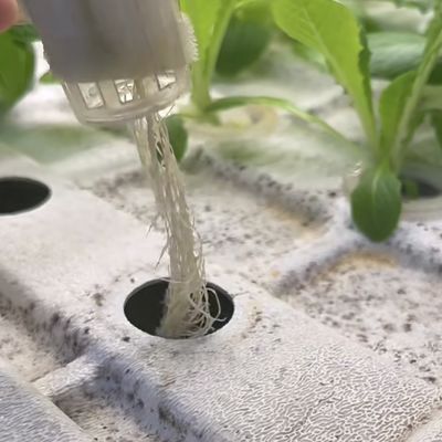 Dakscherm Dakscherm Hydroponische scheepvaartcontainer Kas voor groenten