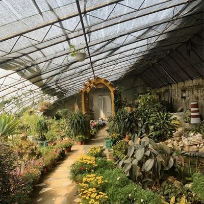 Multi-Span Hydroponics Groentehuis Zonnelichtgedreven Groei Verzendkosten en Levertijd