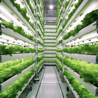 Hydroponics Cultivatie methode Reefer Container Groentenkas met materialen