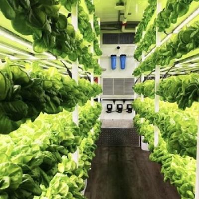 Hydroponics Cultivatie methode Reefer Container Groentenkas met materialen