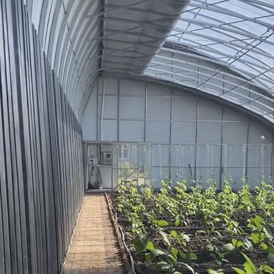 Spray irrigatie zaaien zonneschijn kas US 20 / vierkante meter met aanpassing