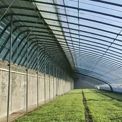 Multi-Span Aquaponics Hydroponic Growing System voor Amerikaanse valuta in zonlicht kas