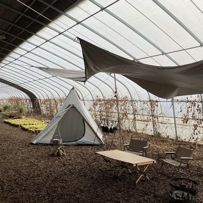 Multi-Span Aquaponics Hydroponic Growing System voor Amerikaanse valuta in zonlicht kas