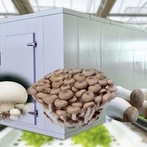 Transformeer uw landbouwbedrijf met bladgroenten