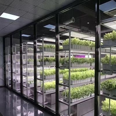18000.000kg Pakket Bruto Gewicht Groene bladgroenten Groeicontainer Kas