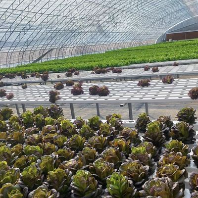 Verzendkosten en geschatte levertijd voor commerciële hydroponische zaaiingsterreinen