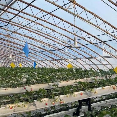 Verzendkosten en geschatte levertijd voor commerciële hydroponische zaaiingsterreinen