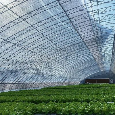 Aquacultuur gemakkelijker gemaakt met zaaien verbouwen zonlicht kas 30 dagen terugbetaling