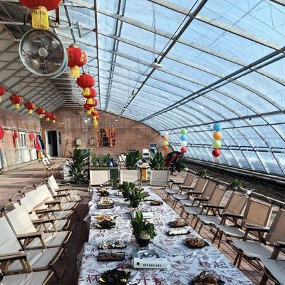 Aquacultuur gemakkelijker gemaakt met zaaien verbouwen zonlicht kas 30 dagen terugbetaling