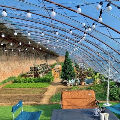 Pakket Bruto Gewicht 100.000 kg Zonlicht Groenhuisdruppelbewatering voor bloemenplanting