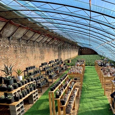 Pakket Bruto Gewicht 100.000 kg Zonlicht Groenhuisdruppelbewatering voor bloemenplanting