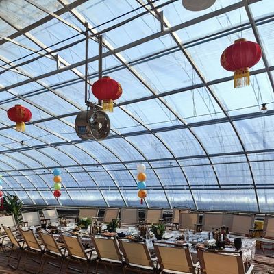 Pakket Bruto Gewicht 100.000 kg Zonlicht Groenhuisdruppelbewatering voor bloemenplanting