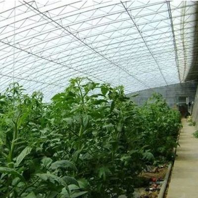 Geavanceerd vochtigheidscontrole- en zonlichtsysteem voor groenten in commerciële kassen