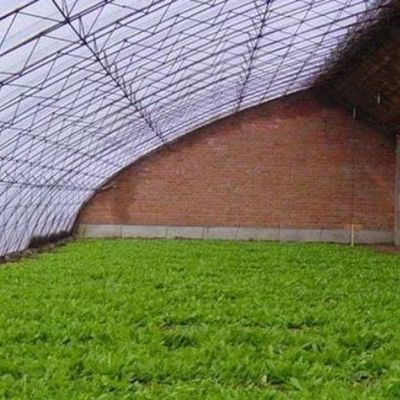 Geavanceerd vochtigheidscontrole- en zonlichtsysteem voor groenten in commerciële kassen