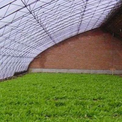 Groentehuis met luchtvochtigheid en zonlicht voor de teelt van grote tomatenkomkomkommers in het zand