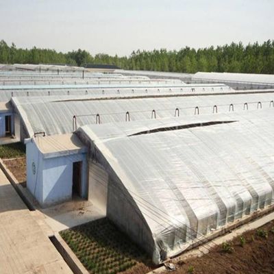 2000.000kg Pakket Bruto Gewicht Geavanceerd groentenverbouwing Zonnestroom kassysteem