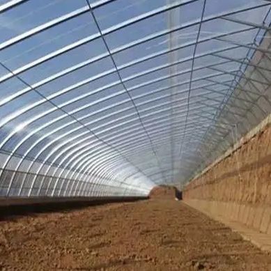 Irrigatie- en ventilatiesysteem voor het schaduwen van komkommergewassen in zonnige kassen