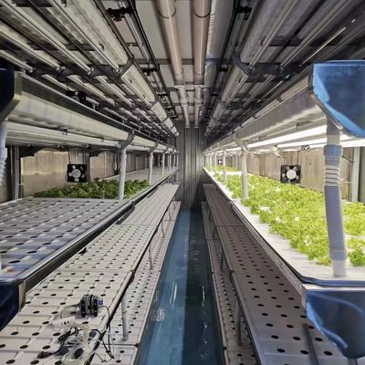 Hydroponische teelt Groentehuis voor bladgroenten Teeltmethode Hydroponica
