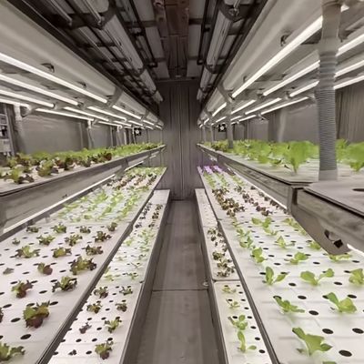 Hydroponische teelt Groentehuis voor bladgroenten Teeltmethode Hydroponica