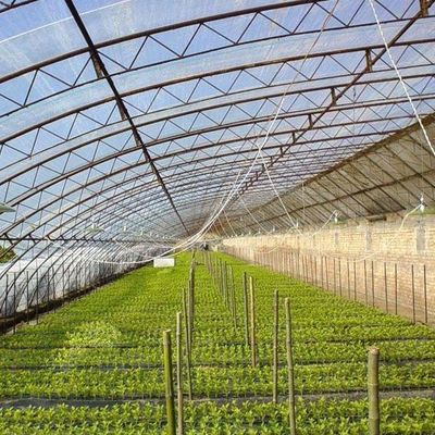 2000.000kg Tomaten en komkommers Zonnelicht Kasoplossing met boogdak