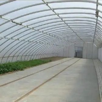 2000.000kg Tomaten en komkommers Zonnelicht Kasoplossing met boogdak