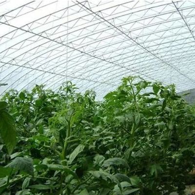 1209cm * 235cm * 239cm Ventilatie en schaduwing Groentehuis voor het planten van komkommers voor zonlicht