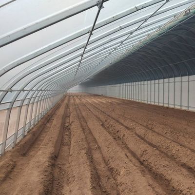 Filmbedekte, met zonlicht versterkte kas voor de kwekercultuur in zandcultuur