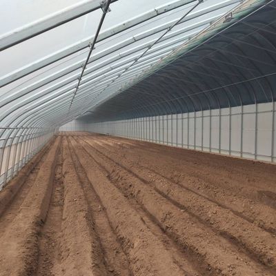 Grootschalige komkommerbouw gemakkelijker gemaakt met luchtvochtigheidsgecontroleerde commerciële kassen