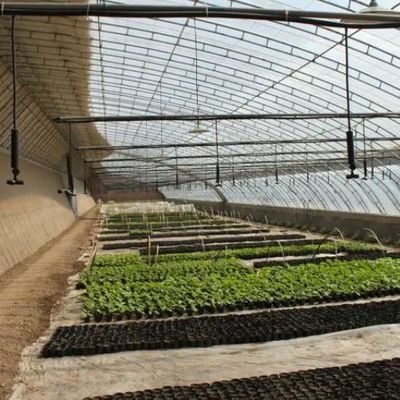 Grootschalige komkommerbouw gemakkelijker gemaakt met luchtvochtigheidsgecontroleerde commerciële kassen