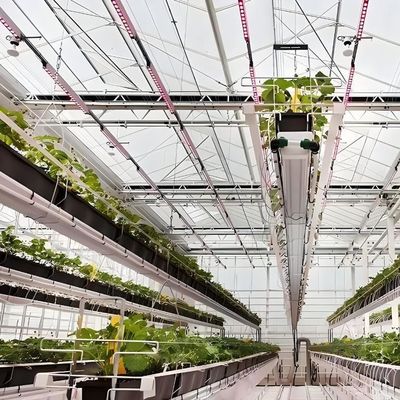 1209cm * 235cm * 239cm Verticale landbouwcontainer kas met hydroponische installatie