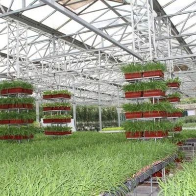 1209cm * 235cm * 239cm Verticale landbouwcontainer kas met hydroponische installatie