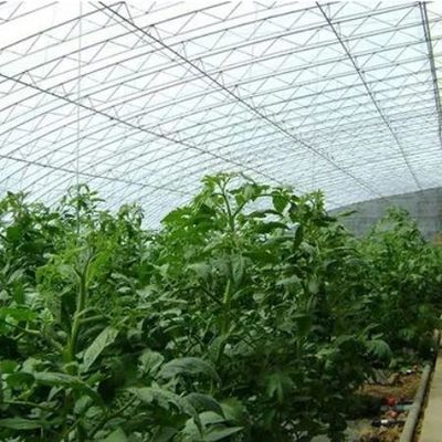 Vierkante meter Commerciële komkommerverbouwing Zonnelicht Kasoplossing met output