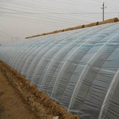 Vierkante meter Commerciële komkommerverbouwing Zonnelicht Kasoplossing met output