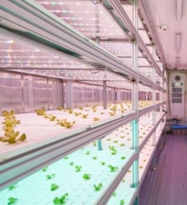 Staalstructuur Hydroponisch systeem Container kas voor verticale landbouwoplossing