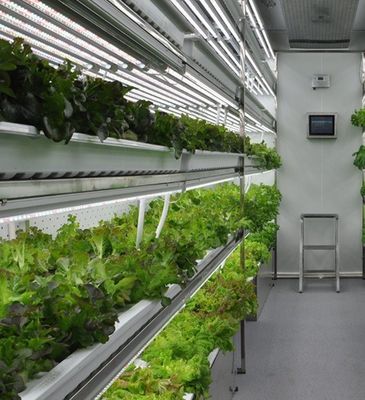 Staalstructuur Hydroponisch systeem Container kas voor verticale landbouwoplossing