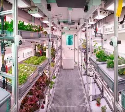Staalstructuur Hydroponisch systeem Container kas voor verticale landbouwoplossing
