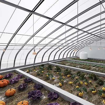 Schaduw- en ventilatiesysteem voor de verbouwing van tomaten voor 40HQ Reefer Containers
