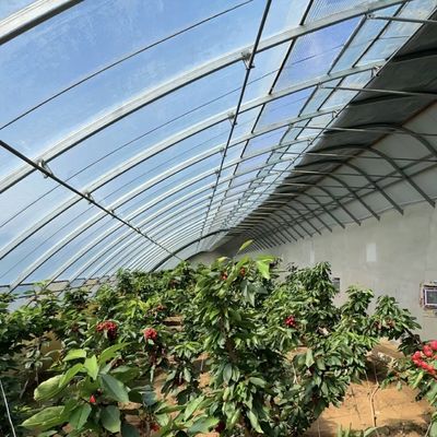 Schaduw- en ventilatiesysteem voor de verbouwing van tomaten voor 40HQ Reefer Containers