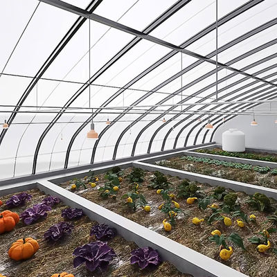 Schaduw- en ventilatiesysteem voor de verbouwing van tomaten voor 40HQ Reefer Containers