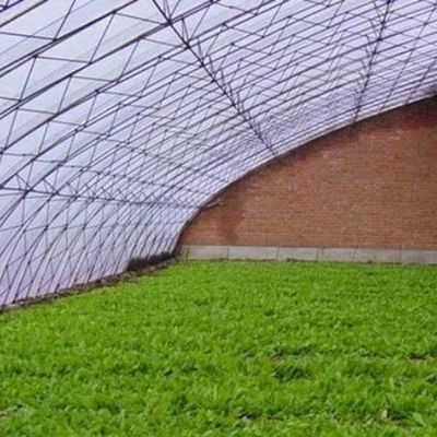Schaduw- en ventilatiesysteem voor de verbouwing van tomaten voor 40HQ Reefer Containers
