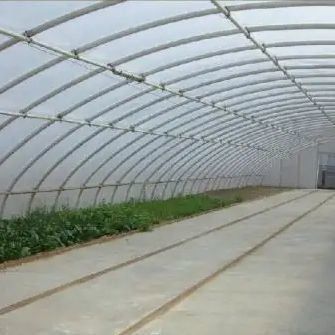 Schaduw- en ventilatiesysteem voor de verbouwing van tomaten voor 40HQ Reefer Containers