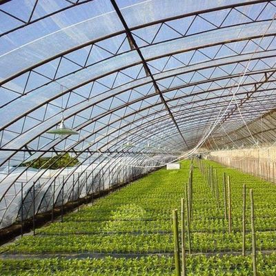 Schaduw- en ventilatiesysteem voor de verbouwing van tomaten voor 40HQ Reefer Containers