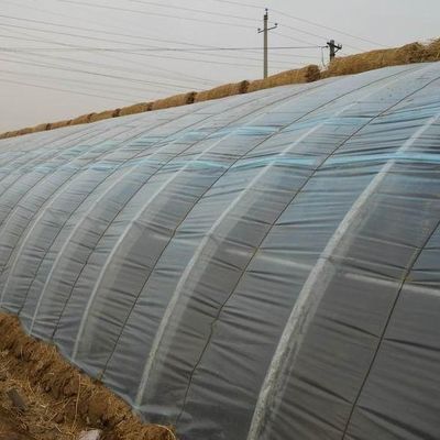 Amerikaanse valuta Commerciële tomaten planten Zonnestroom kas voor optimale gewasproductie