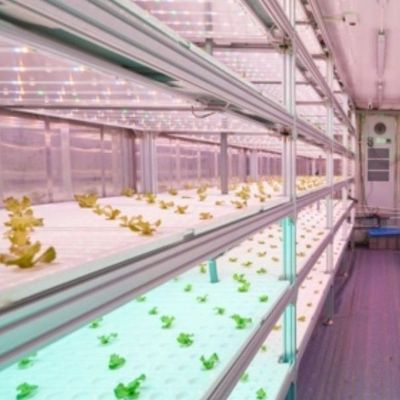 Vervoercontainerkas voor hydroponische verticale landbouw in de commerciële industrie